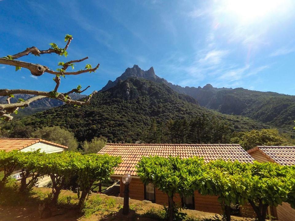Camping Les Oliviers Porto  Exterior photo